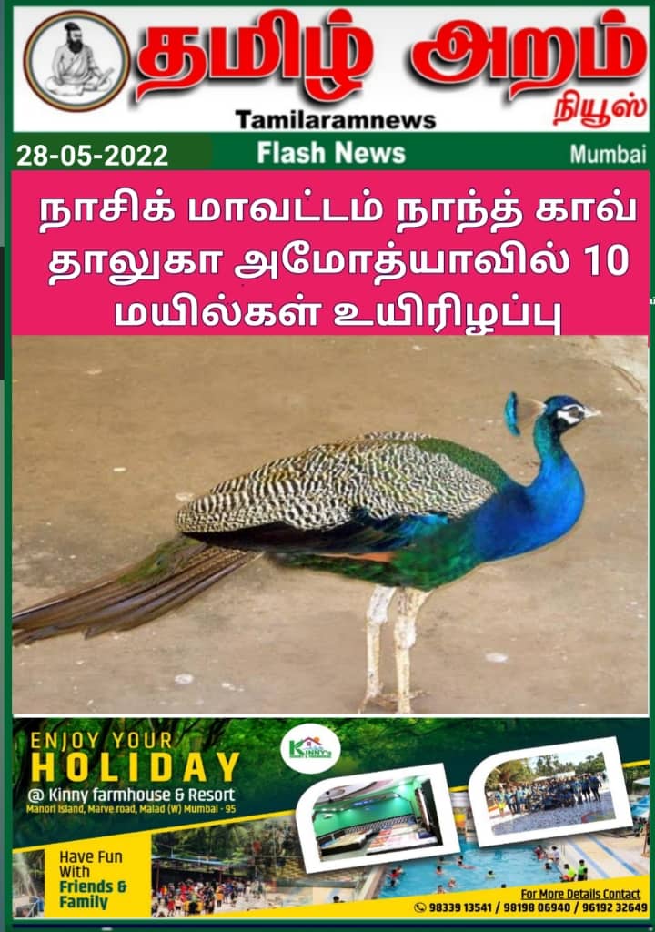 Tamil Aram News: Flash News